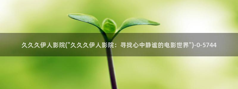 伊人宗和网视频：久久久伊人影院(\