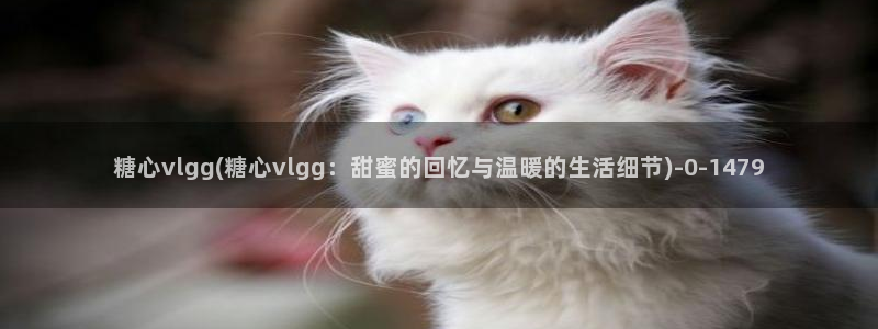 糖心vlog冉：糖心vlgg(糖心vlgg：甜蜜的回忆与温暖