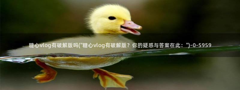 糖心vlog怎么发