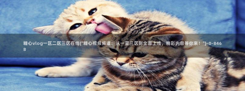 糖心视频vlog：糖心vlog一区二区三区在线(\