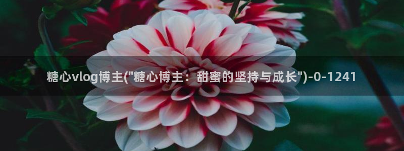 糖心vlogwww.：糖心vlog博主(\
