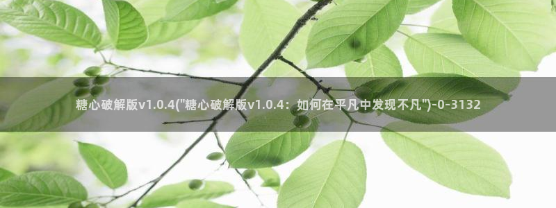 糖心vlog大全：糖心破解版v1.0.4(\
