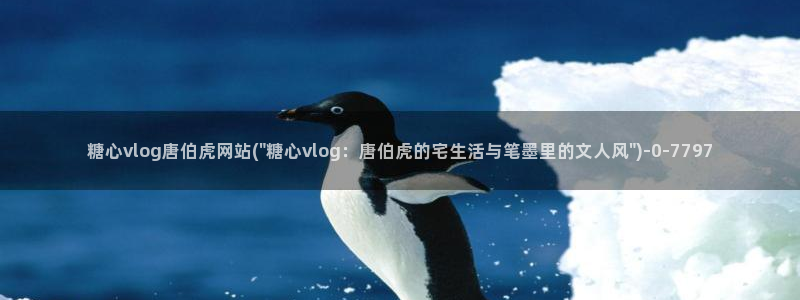 糖心vlog玩偶姐姐视频