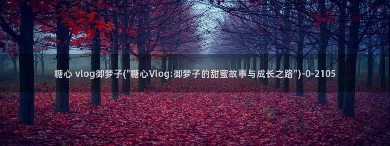糖心成年版糖心vlog：糖心 vlog御梦子(\