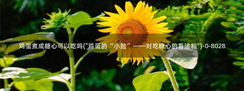 糖心vlog小：鸡蛋煮成糖心可以吃吗(\