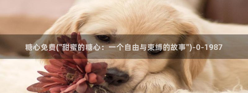 糖心vlog入口进入网站：糖心免费(\