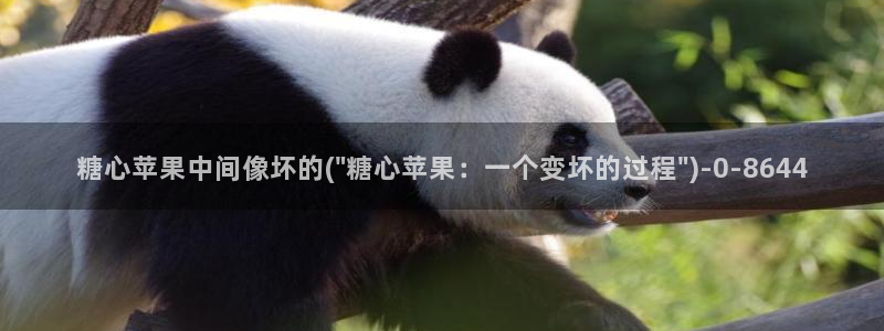 糖心vlog破解版免费版