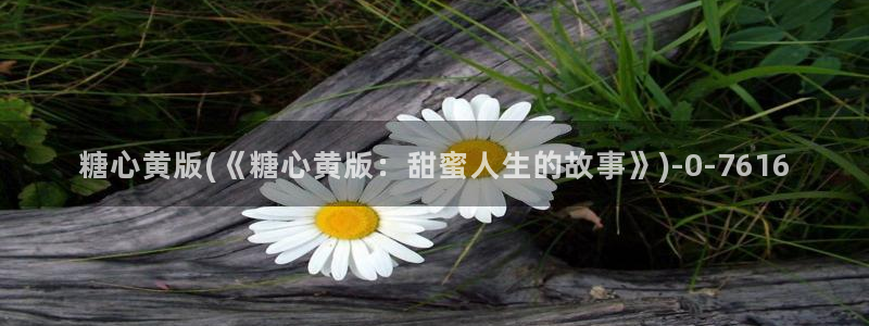 糖心vlog直接看