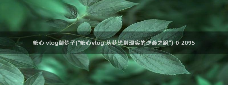 糖心vlog工作室